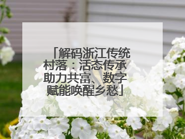 解码浙江传统村落：活态传承助力共富、数字赋能唤醒乡愁