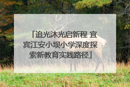 追光沐光启新程 宜宾江安小坝小学深度探索新教育实践路径