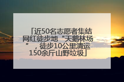 近50名志愿者集结网红徒步地“天鹅林场”，徒步10公里清运150余斤山野垃圾