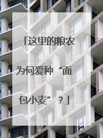 这里的粮农为何爱种“面包小麦”？