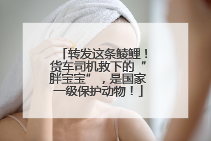 转发这条鲮鲤！货车司机救下的“胖宝宝”，是国家一级保护动物！