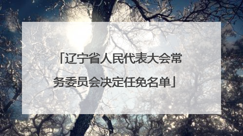 辽宁省人民代表大会常务委员会决定任免名单
