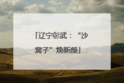辽宁彰武：“沙窝子”焕新颜