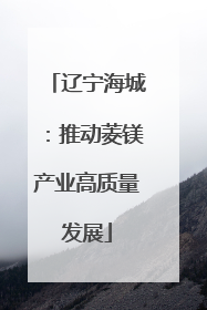 辽宁海城：推动菱镁产业高质量发展