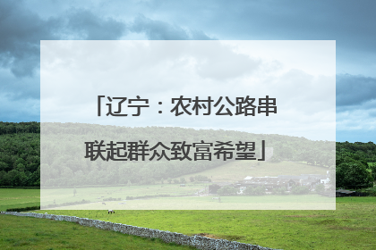 辽宁：农村公路串联起群众致富希望