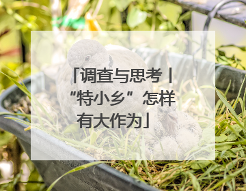 调查与思考丨“特小乡”怎样有大作为