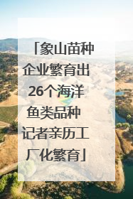 象山苗种企业繁育出26个海洋鱼类品种 记者亲历工厂化繁育