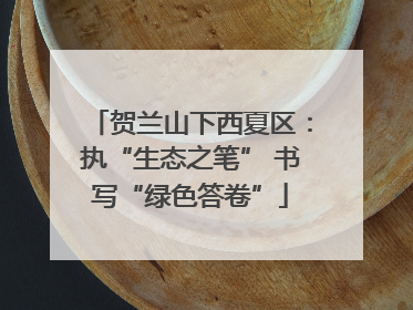 贺兰山下西夏区：执“生态之笔” 书写“绿色答卷”