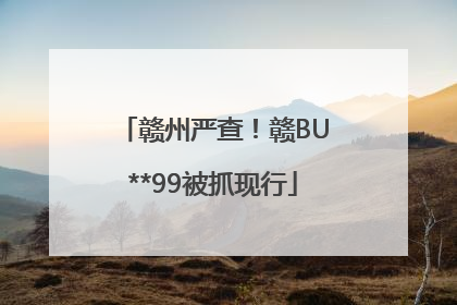 赣州严查！赣BU**99被抓现行