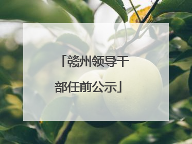 赣州领导干部任前公示