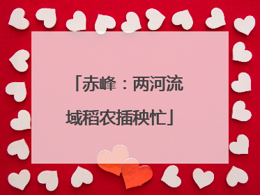 赤峰：两河流域稻农插秧忙