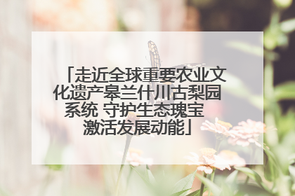 走近全球重要农业文化遗产皋兰什川古梨园系统 守护生态瑰宝 激活发展动能