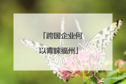跨国企业何以青睐福州