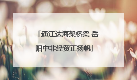 通江达海架桥梁 岳阳中非经贸正扬帆