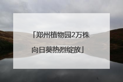 郑州植物园2万株向日葵热烈绽放