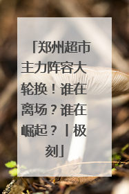 郑州超市主力阵容大轮换！谁在离场？谁在崛起？丨极刻
