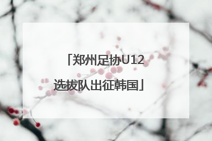 郑州足协U12选拔队出征韩国
