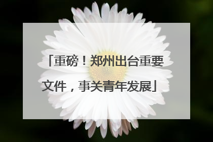 重磅！郑州出台重要文件，事关青年发展