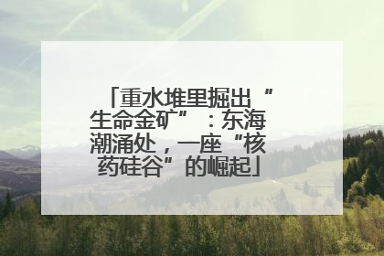 重水堆里掘出“生命金矿”：东海潮涌处，一座“核药硅谷”的崛起