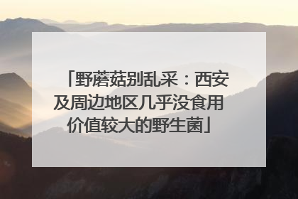 野蘑菇别乱采：西安及周边地区几乎没食用价值较大的野生菌