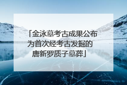 金泳墓考古成果公布 为首次经考古发掘的唐新罗质子墓葬