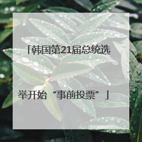韩国第21届总统选举开始“事前投票”