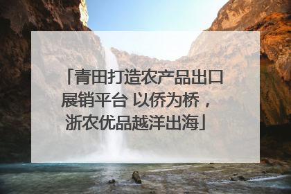 青田打造农产品出口展销平台 以侨为桥，浙农优品越洋出海