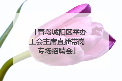 青岛城阳区举办工会主席直播带岗专场招聘会