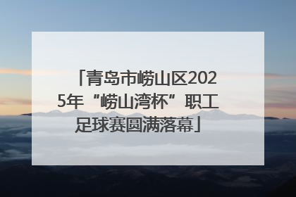 青岛市崂山区2025年“崂山湾杯”职工足球赛圆满落幕