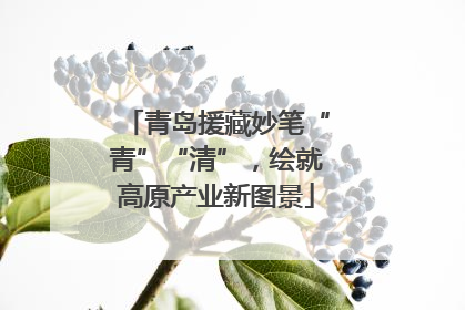 青岛援藏妙笔“青”“清”，绘就高原产业新图景