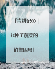 青耕记③｜老种子蔬菜的销售困局