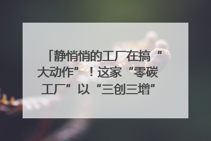 静悄悄的工厂在搞“大动作”！这家“零碳工厂”以“三创三增”探索共富新路径｜网络名人四川行