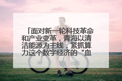面对新一轮科技革命和产业变革，青海以清洁能源为主线，紧抓算力这个数字经济的“血液”、科技主权的“筹码”、产业升级的“杠杆”、绿色转型的“支点”，勇于撬动国家“双碳”战略、“东数西算”工程重大发展新机遇