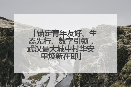 锚定青年友好、生态先行、数字引领，武汉最大城中村华安里焕新在即