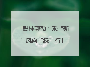 锡林郭勒：乘“新”风向“绿”行