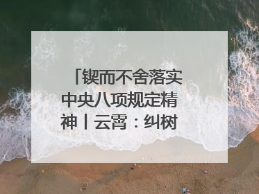 锲而不舍落实中央八项规定精神丨云霄：纠树并举扬正气 作风建设谱新章