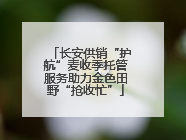 长安供销“护航”麦收季托管服务助力金色田野“抢收忙”