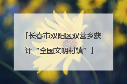 长春市双阳区双营乡获评“全国文明村镇”