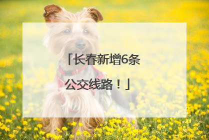 长春新增6条公交线路！