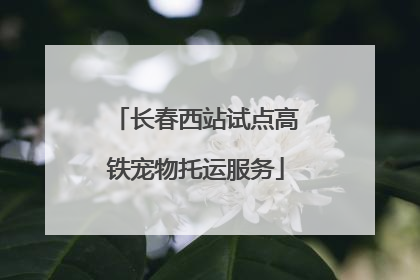 长春西站试点高铁宠物托运服务