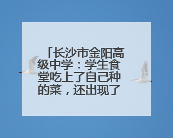 长沙市金阳高级中学：学生食堂吃上了自己种的菜，还出现了一批劳动能手