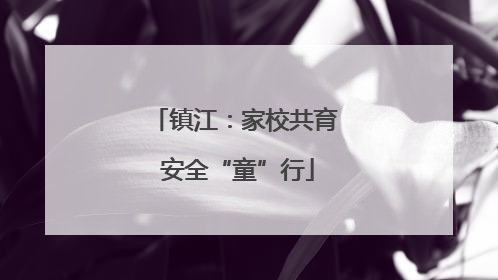 镇江：家校共育 安全“童”行