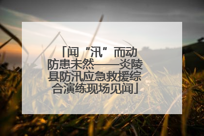 闻“汛”而动 防患未然——炎陵县防汛应急救援综合演练现场见闻