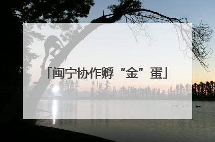 闽宁协作孵“金”蛋