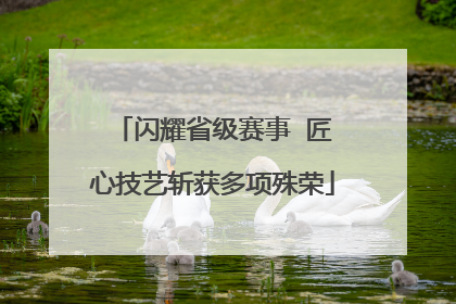 闪耀省级赛事  匠心技艺斩获多项殊荣