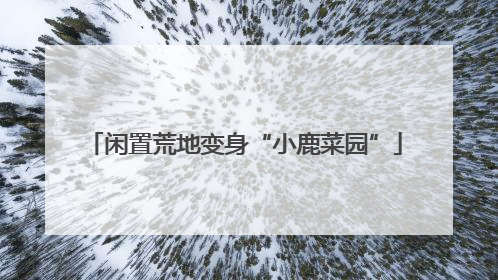 闲置荒地变身“小鹿菜园”