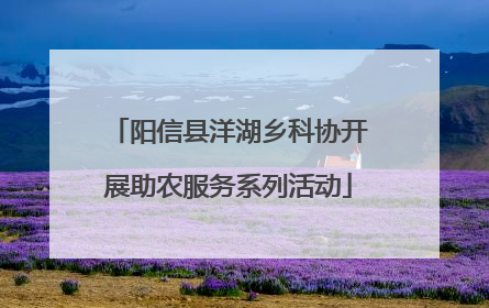 阳信县洋湖乡科协开展助农服务系列活动