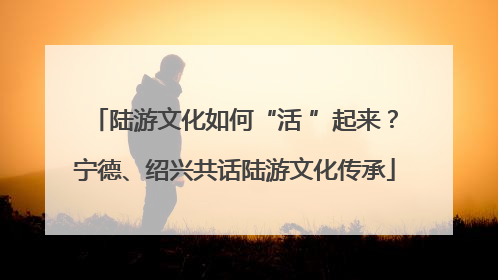 陆游文化如何“活 ”起来？宁德、绍兴共话陆游文化传承