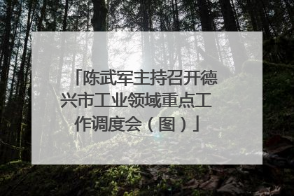 陈武军主持召开德兴市工业领域重点工作调度会（图）