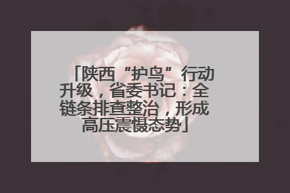 陕西“护鸟”行动升级，省委书记：全链条排查整治，形成高压震慑态势